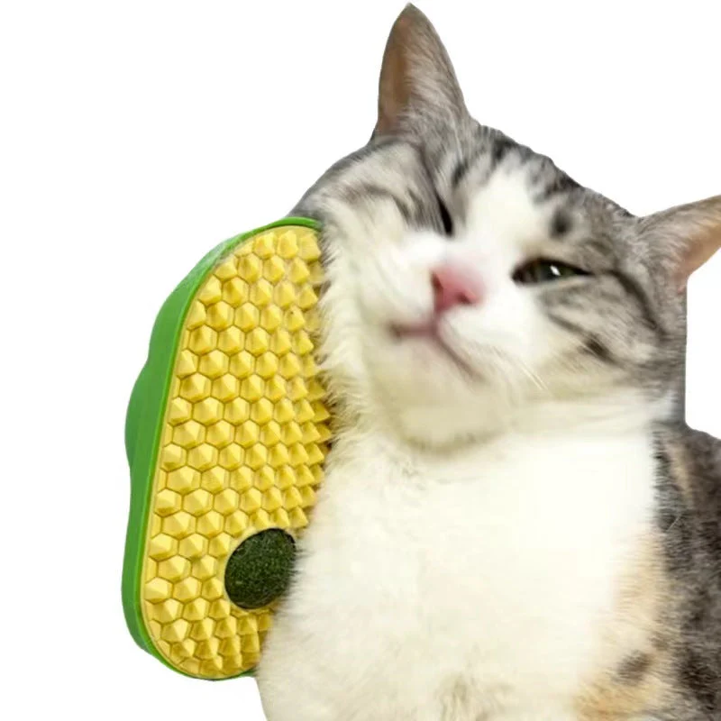 Thumbnail 11